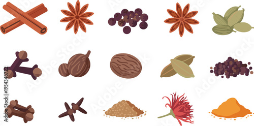 Flat vector spices collection cinnamon sticks star anise cloves cardamom nutmeg peppercorns saffron turmeric powders illustration set cooking ingredients