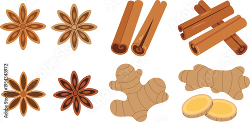 Flat vector spices set cinnamon sticks star anise ginger root slices isolated colorful food ingredients illustration collection for cooking