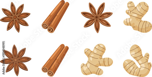 Flat vector spices collection star anise cinnamon sticks ginger roots slices isolated colorful food ingredients illustration for cooking design
