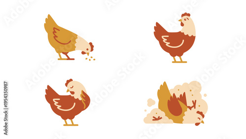Collection of Flat Design Chicken Illustrations: Farm Hens Pecking, Standing, and Dust Bathing