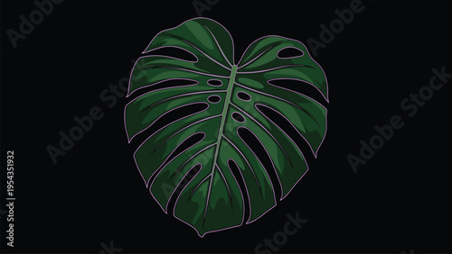 Dark Green Monstera Leaf Vector Illustration on Black. Tropical Plant Graphic Design Element for Modern Design