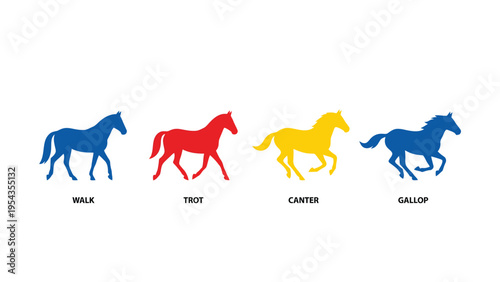 Colorful Horse Gaits Illustration: Walk, Trot, Canter, Gallop. Dynamic Equine Movement Sequence.