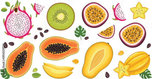 Tropical Fruits Collection with Papaya, Dragon Fruit, Kiwi, Passionfruit, and Starfruit for Fresh and Exotic Fruit Designs