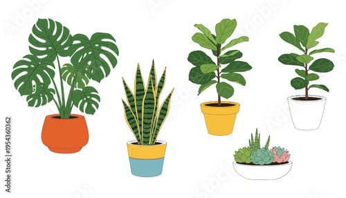 A set of colorful plant illustrations in various pots and containers