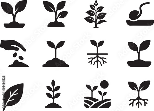 Eco plant growth solid icon set with seed, roots, sprout and leaf nature symbols