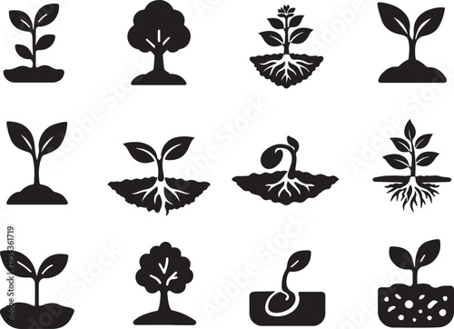 Organic plant growth solid icon set with seed, roots, sprout and leaf eco concept