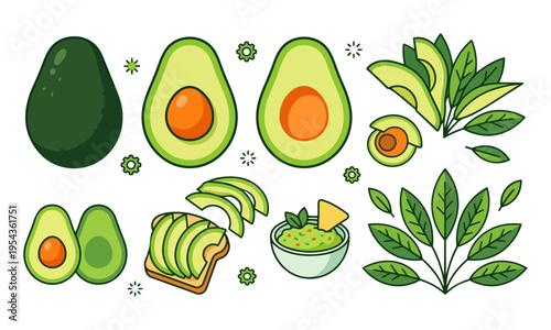 Avocado set fresh fruits vector illustration guacamole toast whole sliced and half