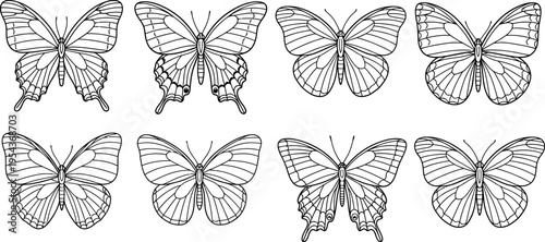 A set of six black and white butterfly illustrations in two rows