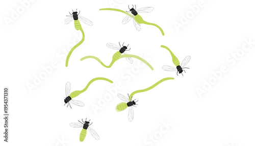 Firefly insect illustration with glowing green abdomen and black head