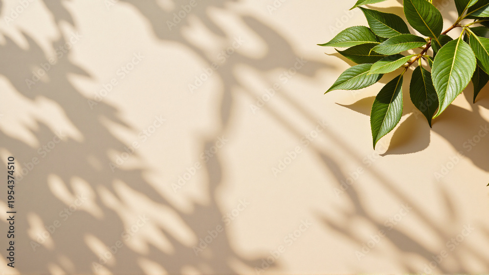 custom made wallpaper toronto digitalSunlit green leaves and abstract plant shadows on a serene beige background