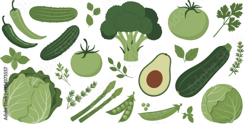 Green Vegetables Vector Set with Broccoli, Avocado, Cabbage, Cucumber, Peas, Herbs, and Fresh Organic Produce for Healthy Food Design and Nutrition Illustration