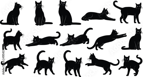 Black Silhouette Collection of Domestic Cats in Various Poses Including Sitting Stretching Jumping and Walking for Pet Industry Design and Illustration