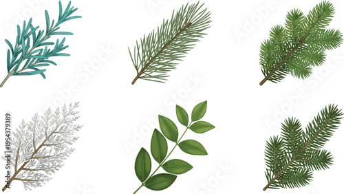 Realistic Pine and Evergreen Branch Vector Set with Cedar, Fir, Spruce Leaves and Botanical Greenery Elements for Nature, Winter, and Holiday Designs