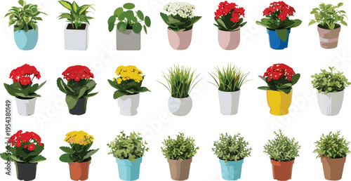 Collection of colorful indoor potted plants and blooming flowers in modern pots, decorative houseplants set isolated on white background, home gardening and interior design concept
