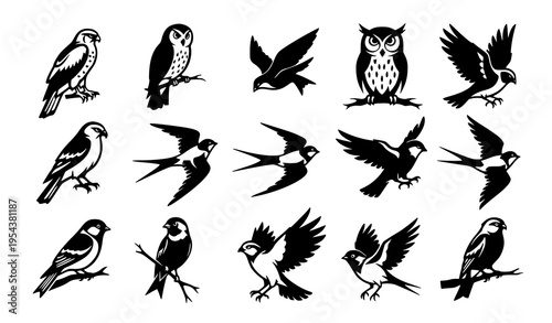 Bird icon pack with bold artistic silhouettes for tattoo apparel and stationery vectorbird, birds, bold, artistic, tattoo, silhouette, black, flying, perched, wings, icon, icons, pack, set, collection