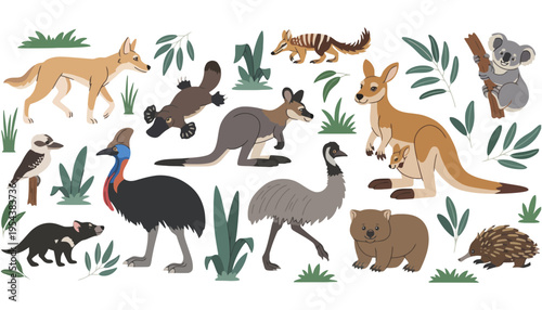 Australian wildlife illustration featuring various native animals and plants