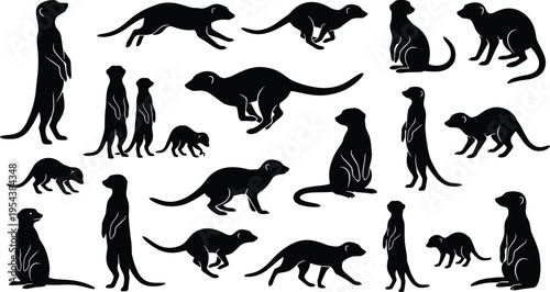 Meerkat silhouette collection in multiple poses, wildlife animal set, standing and running positions, black design, nature illustration, zoology study, behavior and motion concept