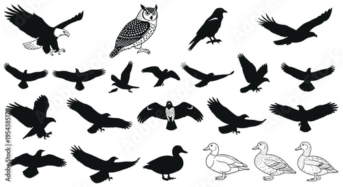 Black silhouette vector set of birds of prey featuring eagles owls hawks and crows in flight and perched for nature wildlife and avian conservation design
