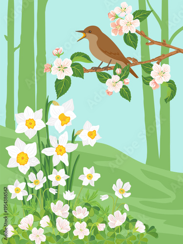 vector drawing landscape with bird, thrush nightingale at spring flowering apple tree branch with pink blossoms and narcissus flowers, ,hand drawn illustration