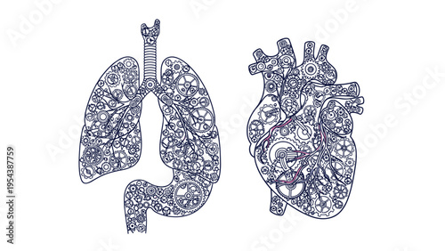 Intricate mechanical illustrations of a human heart and lungs made of gears and clockwork parts to represent complex internal body systems.