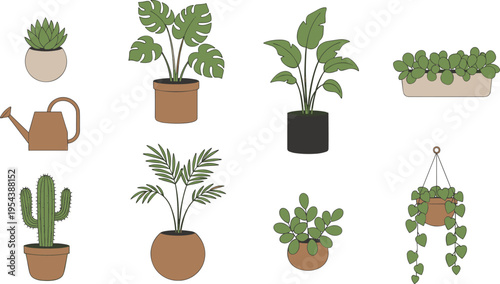 Collection of indoor house plants in ceramic pots with watering can including monstera cactus palm and hanging plants isolated on white background vector.