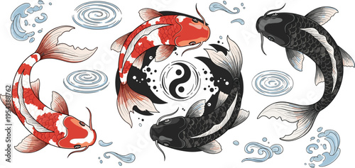 Koi fish yin yang composition with water waves and ornamental carp, Japanese style balance symbol with black and red koi vector illustration