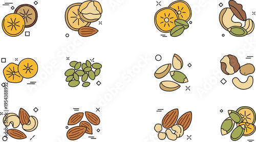Mixed nuts collection with almonds pistachios cashews and seeds, healthy snack ingredients set with organic dry fruits vector illustration pack