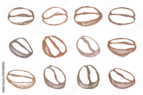 Set of hand drawn fresh roasted coffee bean Arabica robusta seed doodle Single element for design print packaging label decor