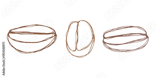 Set of hand drawn fresh roasted coffee bean Arabica robusta seed doodle Single element for design print packaging label decor