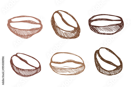 Set of hand drawn fresh roasted coffee bean Arabica robusta seed doodle Single element for design print packaging label decor