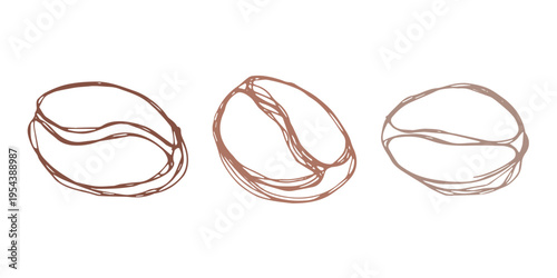 Set of hand drawn fresh roasted coffee bean Arabica robusta seed doodle Single element for design print packaging label decor