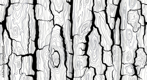 Cracked Bark Texture - Black and White Wood Grain Pattern