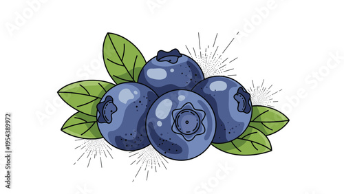 Cluster of ripe blueberries with green leaves and artistic details representing healthy organic fruit and superfoods.