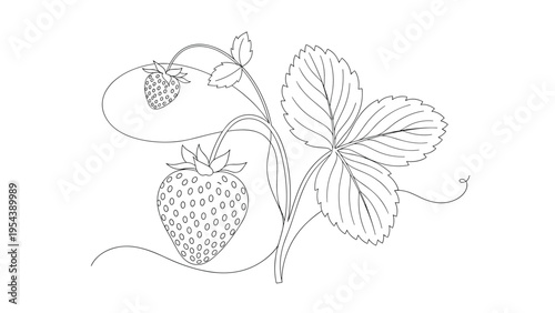 Black and white line art drawing of a strawberry plant featuring two berries and textured leaves with curly vine tendrils.