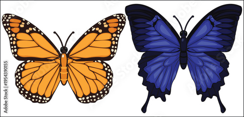 2 Beautiful Butterfly Large Feather Blue and Orange Insect Moth Decor for Fabric Wall Vector