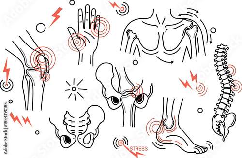 Joint pain medical illustration vector with human skeleton parts highlighting inflammation stress points arthritis injury and orthopedic health problem line icons
