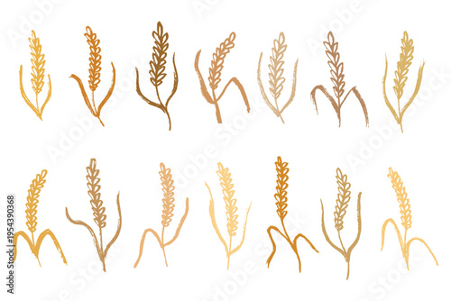 Set of hand drawn cereal wheat oat rye barley rice ears spikelet clipart Organic wheat bread agriculture farming harvest healthy food Single element for design print packaging label decor