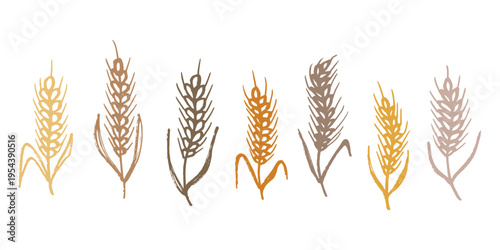 Set of hand drawn cereal wheat oat rye barley rice ears spikelet clipart Organic wheat bread agriculture farming harvest healthy food Single element for design print packaging label decor