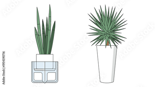 Modern potted plants including a snake plant and a yucca in stylish white pots for interior home office decoration ideas.