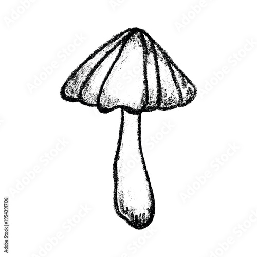 Hand drawn mushroom doodle Botanical illustration Cute autumn mushroom Healthy eco food Organic vegetarian food For stickers, greeting card, design, print, packaging, decor, kids books