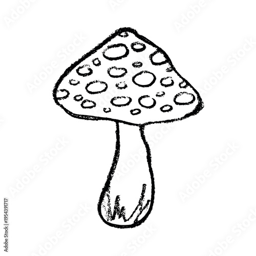 Hand drawn mushroom doodle Botanical illustration Cute autumn mushroom Healthy eco food Organic vegetarian food For stickers, greeting card, design, print, packaging, decor, kids books