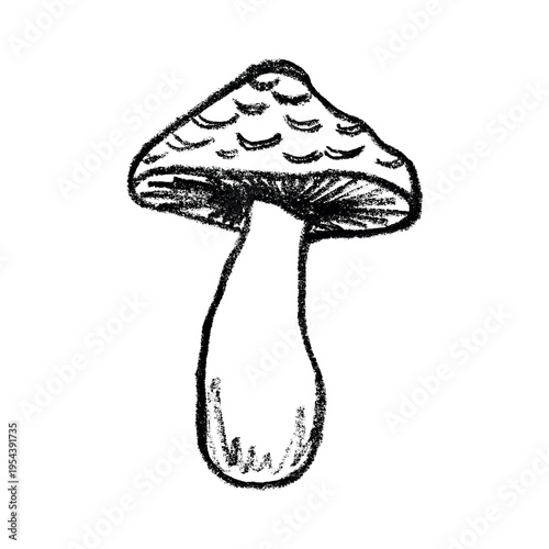 Hand drawn mushroom doodle Botanical illustration Cute autumn mushroom Healthy eco food Organic vegetarian food For stickers, greeting card, design, print, packaging, decor, kids books