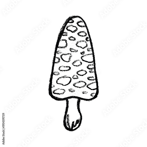 Hand drawn mushroom doodle Botanical illustration Cute autumn mushroom Healthy eco food Organic vegetarian food For stickers, greeting card, design, print, packaging, decor, kids books