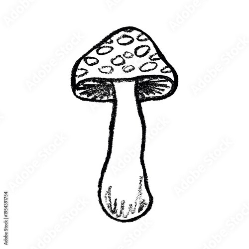 Hand drawn mushroom doodle Botanical illustration Cute autumn mushroom Healthy eco food Organic vegetarian food For stickers, greeting card, design, print, packaging, decor, kids books