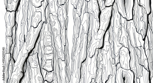 Detailed Black and White Illustration of Tree Bark Texture