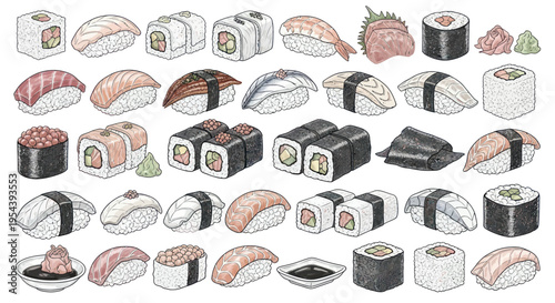 Assortment of Sushi Rolls and Nigiri Hand-Drawn Illustration