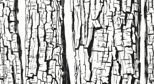Abstract Black and White Cracked Bark Texture Background