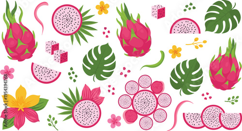 Fresh Dragon Fruit Illustration Set with Sliced Fruit, Pink Flowers, Green Leaves, and Tropical Elements for Healthy Food, Exotic Fruits, and Smoothie Designs