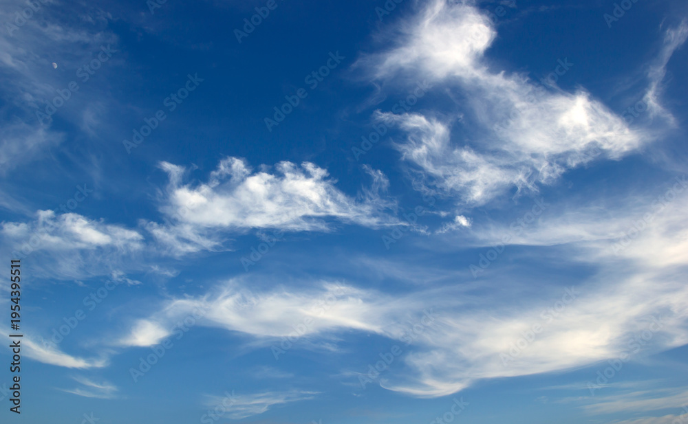 Fototapeta premium blue sky white
