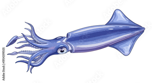Illustration of a blue squid with tentacles and fins, isolated on white background.